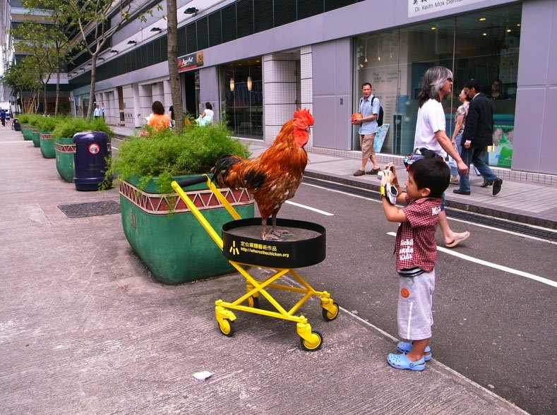 Chicken road gokspel - Speel het Bekende Casino Spel Chicken Road Online in Nederland